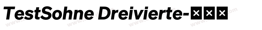TestSohne Dreivierte字体转换